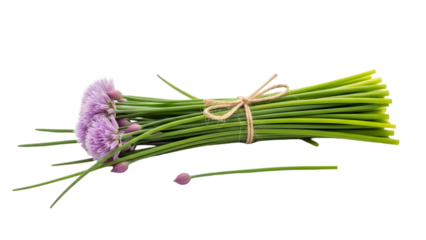 A bundle of fresh lavender flowers isolated on transparent background