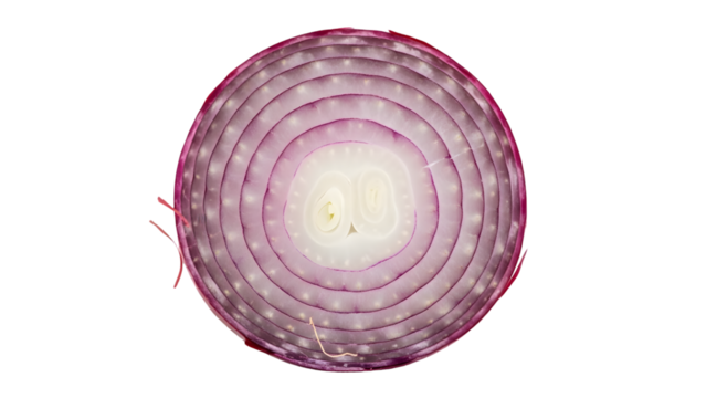 Glowing oval object isolated on transparent background - Powered by Adobe