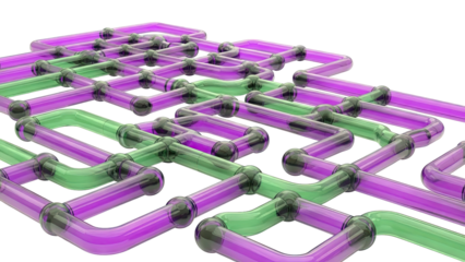 Interconnected Transparent Tubes in Purple and Green with Black Connectors
