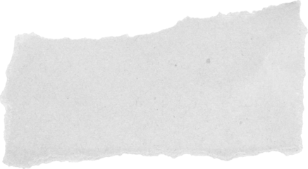 White ripped recycle craft paper torn edges strips isolated on black background