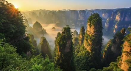 Towering forested sandstone pillars emerge from mist during a bright sunrise