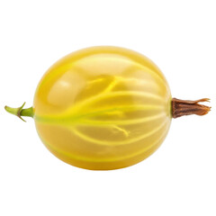 Single ripe yellow gooseberry attached to a short stem on transparent background