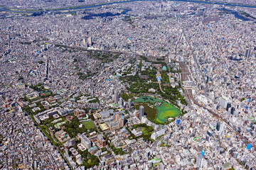本郷上空から上野を望む・文教地区・Aerial view