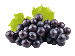 Fototapeta premium Black grapes cluster with green leaves