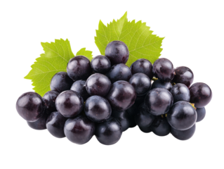 Black grapes cluster with green leaves
