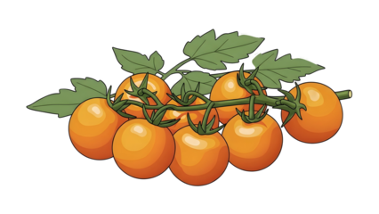 Golden Glow: Fresh Cluster of Orange Cherry Tomatoes on the Vine