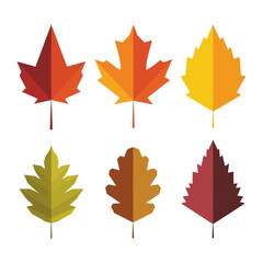 Fototapeta premium Autumn Leaves Collection - Seasonal Fall Foliage Vector Graphics