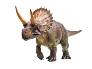 Obraz premium Horned ceratopsid dinosaur isolated