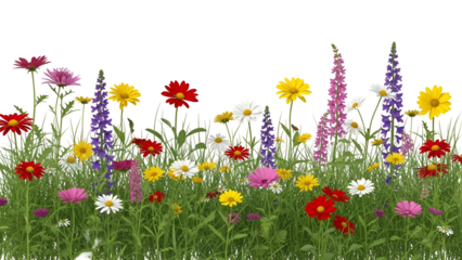 Vibrant colorful flowers in a lush green meadow isolated on transparent background