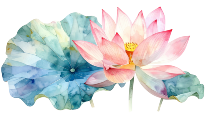 Watercolor depiction of a blooming pink lotus and large blue-green leaf