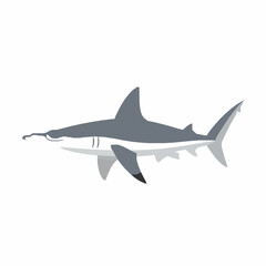 Obraz premium Marine biology species vector illustration with flat underwater animal scientific design isolated