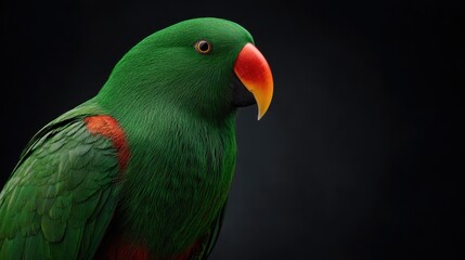Naklejka premium Vibrant Green Parrot with Bright Orange Beak Against Dark Background