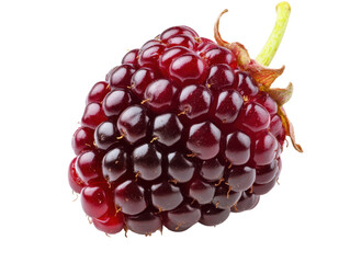 Single Ripe Raspberry Isolated
