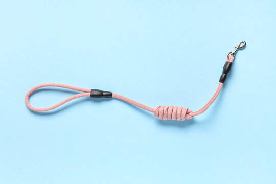 Pet leash on blue background