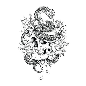 Tattoo design with snake and skull.