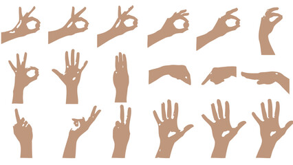 Fototapeta premium Numerous brown skin tone hand gestures are displayed in a grid pattern, illustrating different forms of non-verbal human communication.