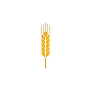 Golden wheat stalk illustration a simple agricultural emblem on transparent background