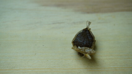 Pile of Single Clove Black Garlic, Allium sativum on Wood Background