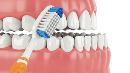 Close-up of Toothbrush Cleaning Teeth