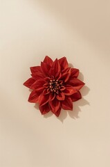 Red flower with a yellow center