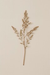 Gold leafy plant with a stem