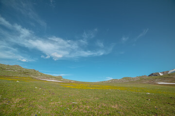 Colorful alpine scenery with sunlit flowering grassy hilly meadow on mountain pass under clouds in blue sky in sunny day. Green grasses and yellow flowers near precipice edge in upland in bright sun.