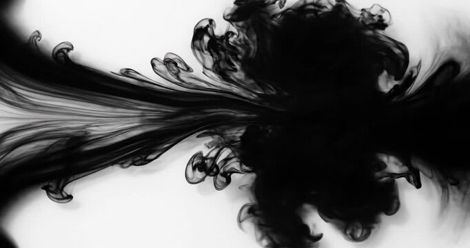 Black ink plume swirling through water in abstract slow motion macro.