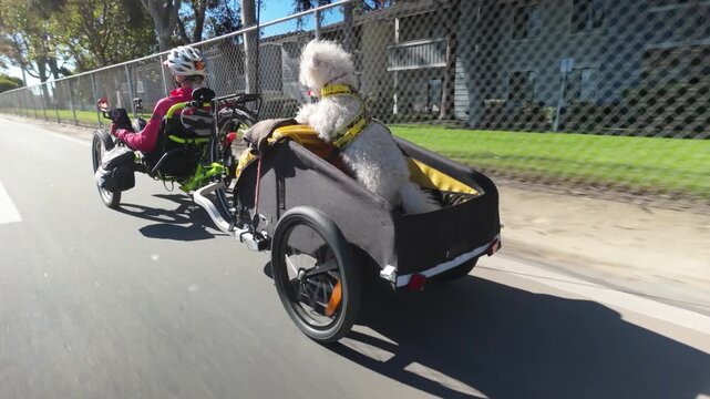 Elderly woman bikes on electric tricycle with her dog in a trailer enjoying a ride through the park on a sunny day.