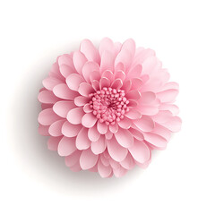 Fototapeta premium Beautiful chrysanthemum with pink petals, showcasing delicate layers and vibrant appearance, perfect for floral arrangements and decorations