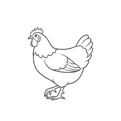 Vector illustration of a hen with eggs on a farm background