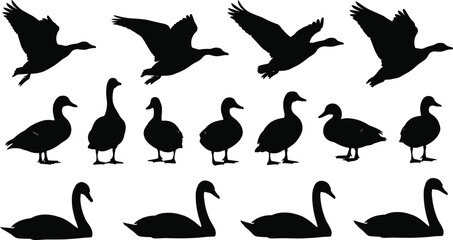 Collection of waterfowl silhouettes illustration set, flying ducks geese and swimming swans icons, wild birds nature and wildlife vector design elements for outdoors, © It's Majed Here