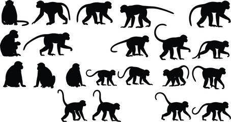 Collection of monkey silhouettes in various poses showing sitting, walking, climbing, and active movements for wildlife illustration, nature design, and animal graphics © Love999