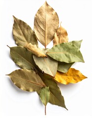 Fototapeta premium Dried Bay Leaves: An overhead shot showcases a cluster of dried bay leaves, the intricate textures and earthy hues of these aromatic culinary staples. 