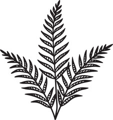 Naklejka premium fern leaf isolated on black