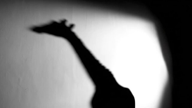 A human shadow absurdly shaped like a giraffe conveys surreal silliness in a dramatic artistic display