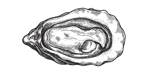 oyster shell revealing inner texture illustrated in a vintage black and white engraving style. © trianatio