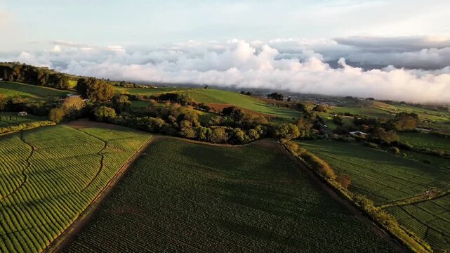 Aerial View of Rural Farmland and Countryside Roads at Sunset