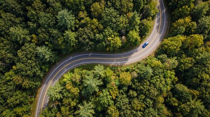Aerial view of a winding road through a dense forest with a car driving on it