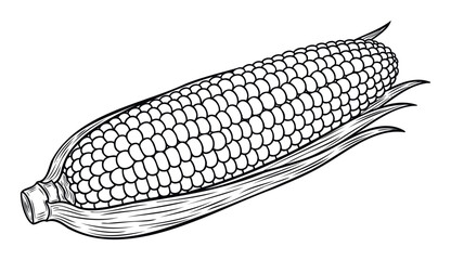 A classic black and white line drawing of a fresh corn cob with husks, perfect for agricultural food packaging, cooking recipe books, or healthy eating promotions seeking a vintage or
