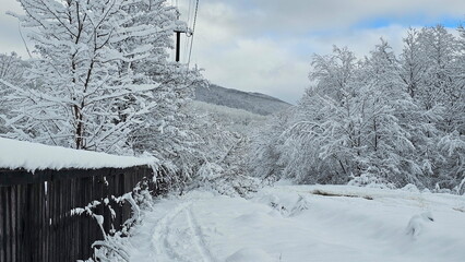 Winter landscape in a mountain village