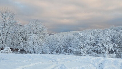 Winter landscape in a mountain village