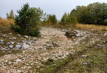 Autumn walks in the autumn park in the morning hours in the alpine area of the mountain range