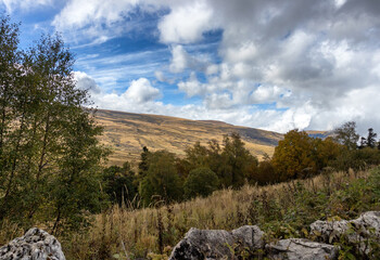 Autumn walks in the autumn park in the morning hours in the alpine area of the mountain range