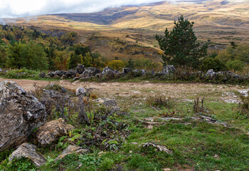 Autumn walks in the autumn park in the morning hours in the alpine area of the mountain range