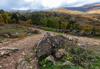 Autumn walks in the autumn park in the morning hours in the alpine area of the mountain range