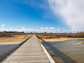 青空へ真っ直ぐ伸びる京都・流れ橋の絶景