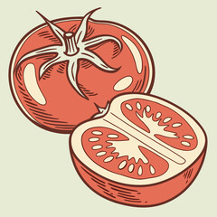 Stylized Tomato Illustration with Halved and Wedge Slice Showing Detailed Interior and Green Stem