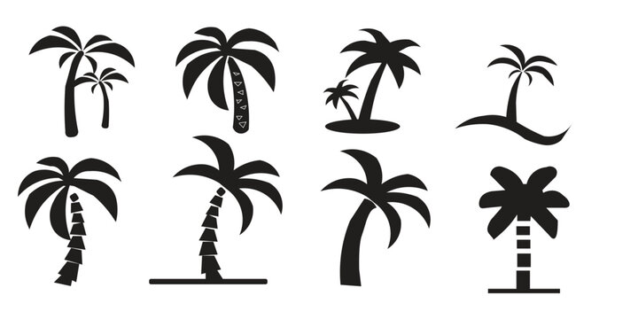 Collection of diverse palm tree silhouettes