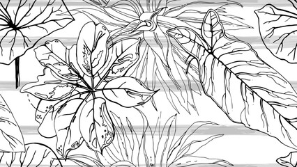 black and white flowers