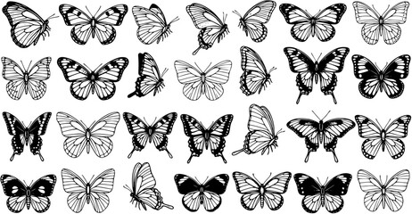 Hand-drawn Black and White Butterfly Collection. Detailed Line Art Insect Set for Nature, Spring, and Graphic Design Projects.